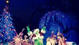 DR. SEUSS HOW THE GRINCH STOLE CHRISTMAS! THE MUSICAL MSG NYC @GrinchMusical @MSGnyc 4