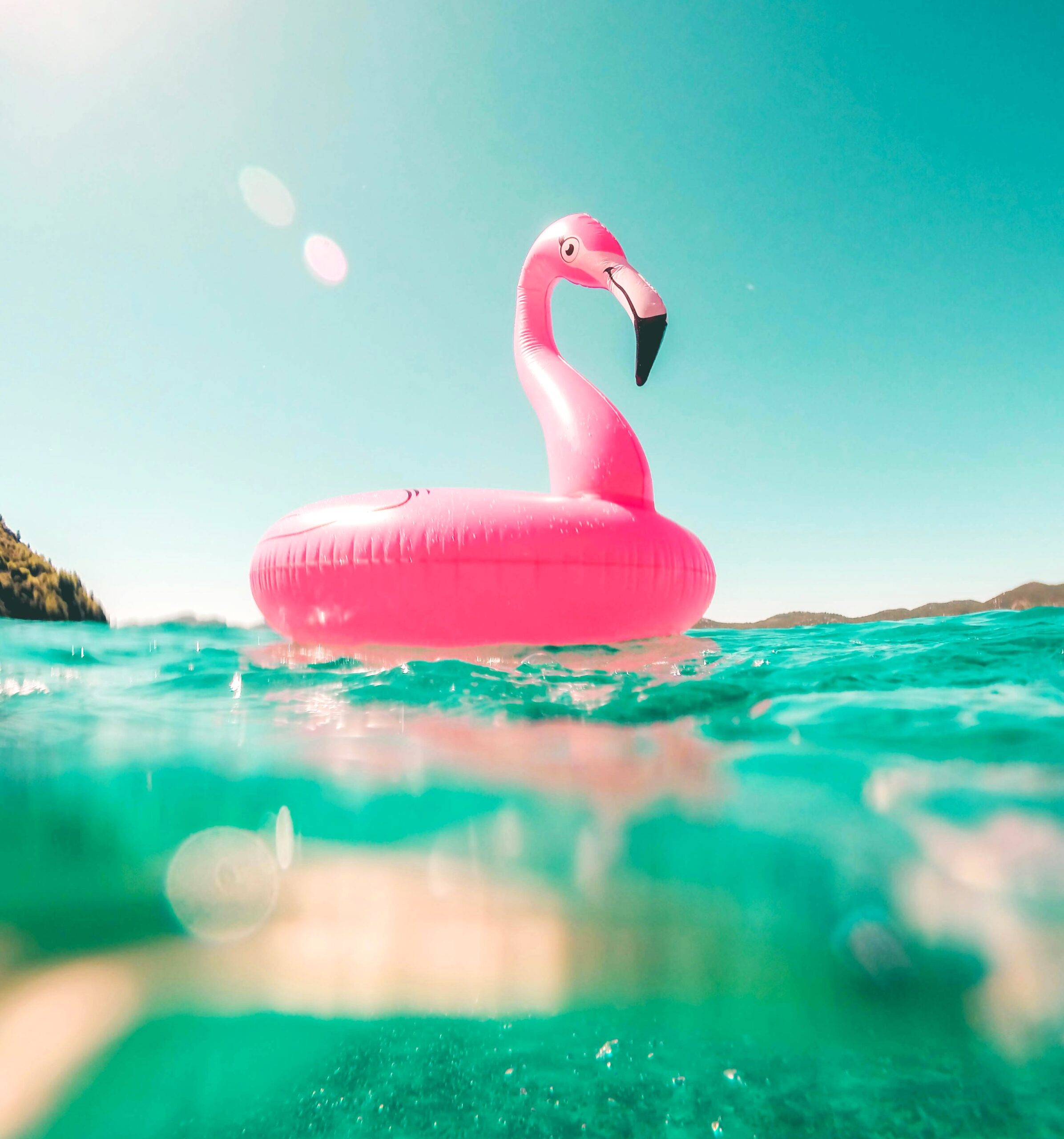 Summer Essentials New Products Guide 2024