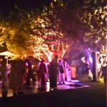People gathered under illuminated trees at night