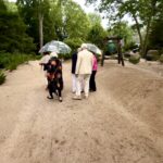 Seniors walking on sandy garden path with umbrellas